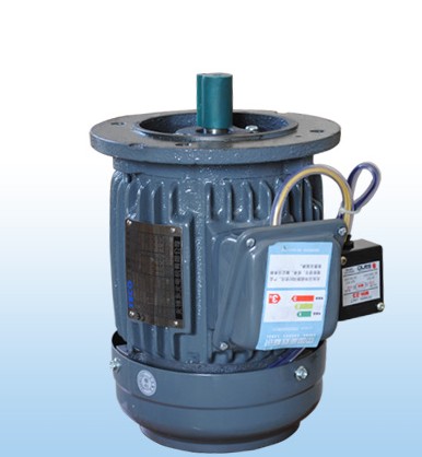 TECO East yuan AEVFF3 vertical motor